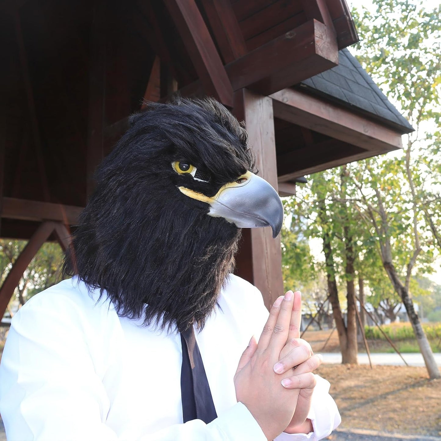 Black Eagle Mask Novelty Latex Hawk Mask Closed Mouth Eagle Head Mask Animal Costume Bird Mask for Party Festival Halloween Masquerade