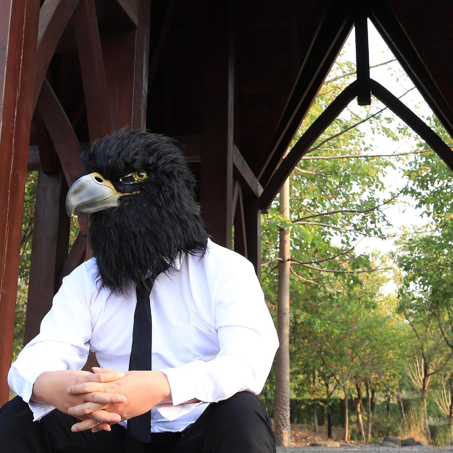 Black Eagle Mask Novelty Latex Hawk Mask Closed Mouth Eagle Head Mask Animal Costume Bird Mask for Party Festival Halloween Masquerade